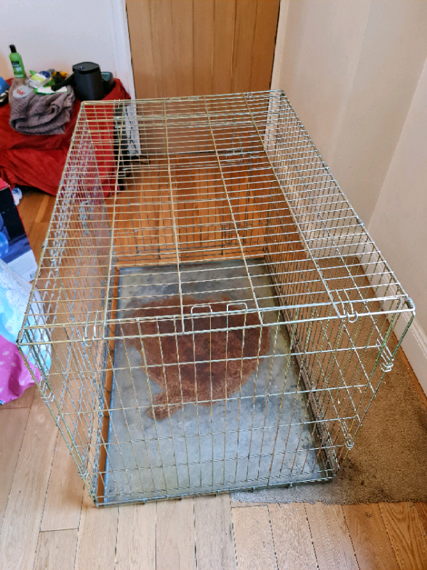 used large dog cage